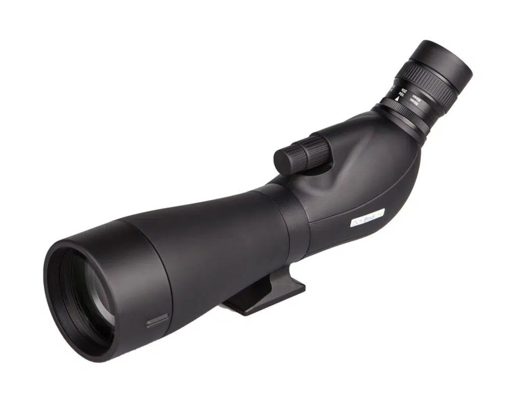 DOF BirdLife - Swan 20-60x80