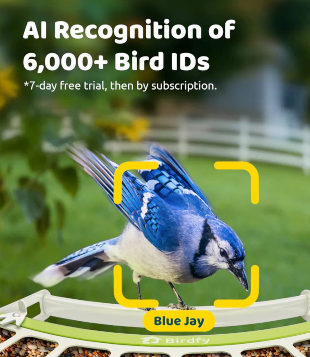 Birdfy Futterhaus Feeder Metal mit Artenerkennung