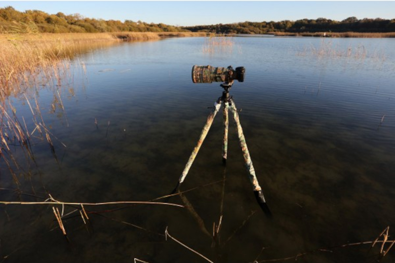 Wasserschutz für Stative von Tragopan, Herbstfarben