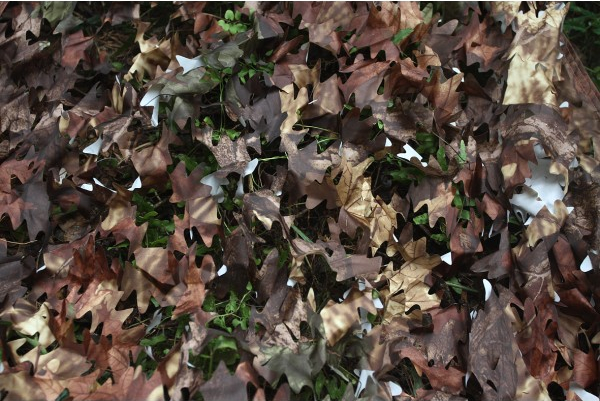 Tragopan - Tarnnetz Herbst, 3 x 6m