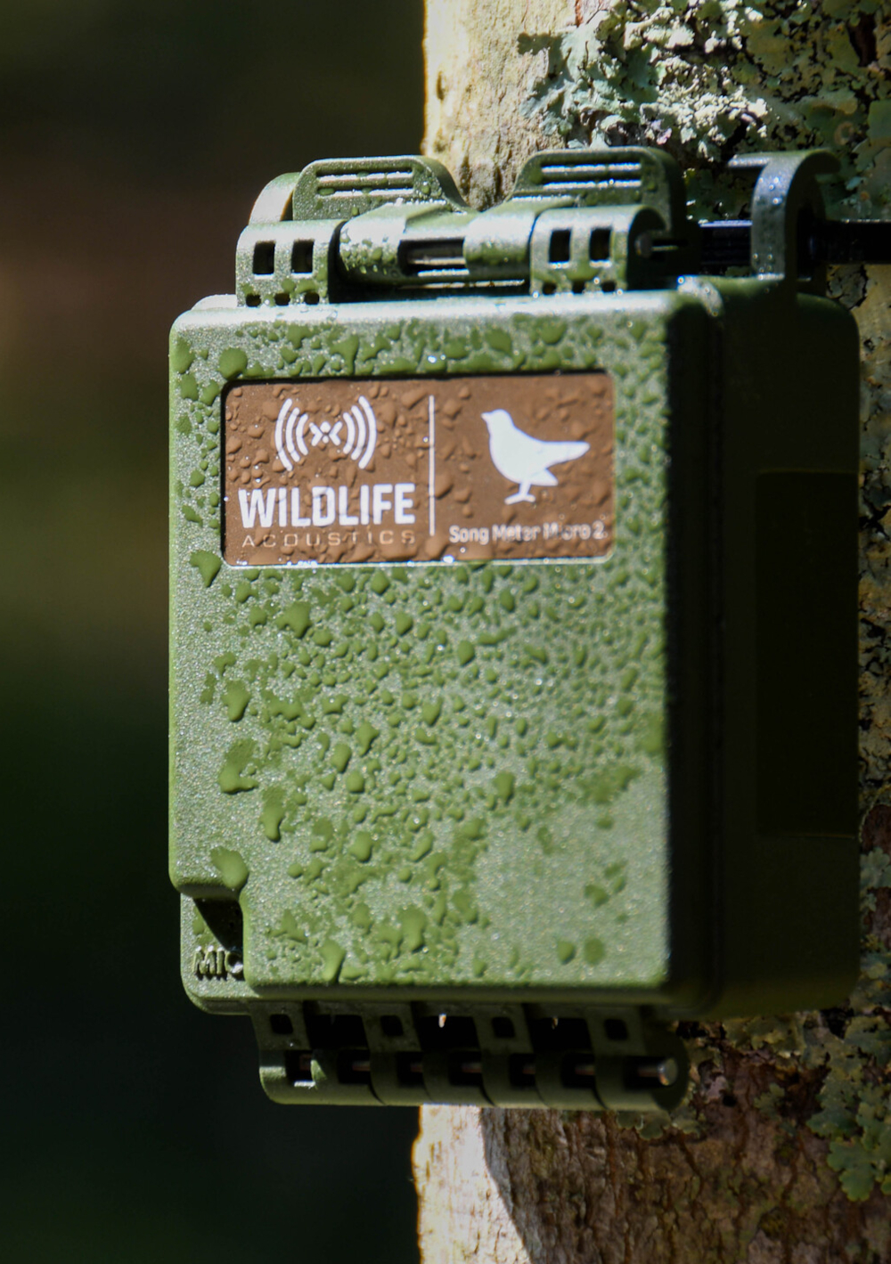Song Meter Micro 2 von Wildlife Acoustics, bei Feuchtigkeit