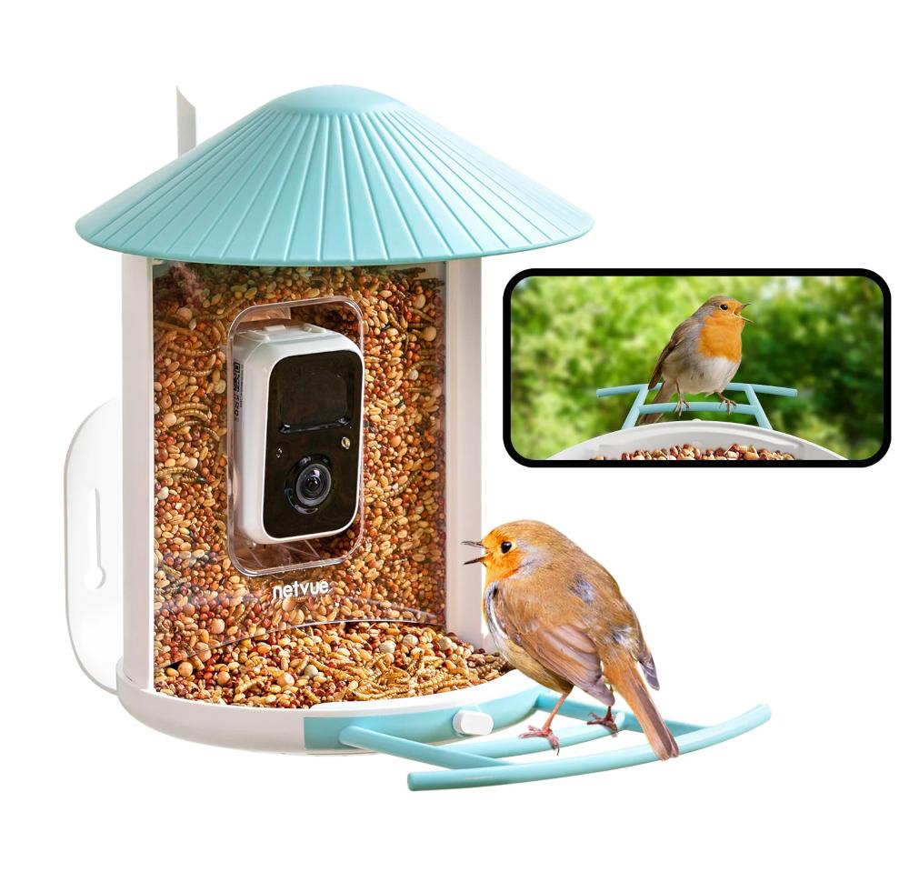Kameraaufnahme am Birdfy Feeder und Videoclip