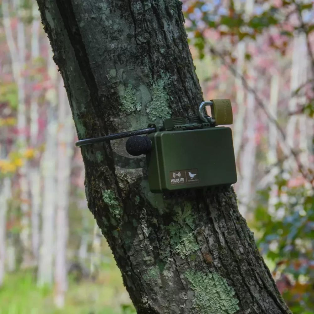 Wildlife Acoustics Song Meter Mini 2 Akustik Recorder, Li-ION - Outdoor