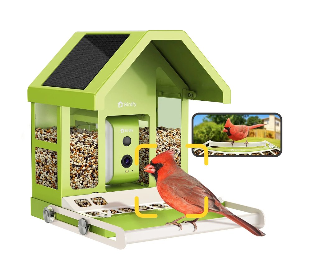 Birdfy Metal Feeder mit eingebauter Kamera zur Aufzeichnung