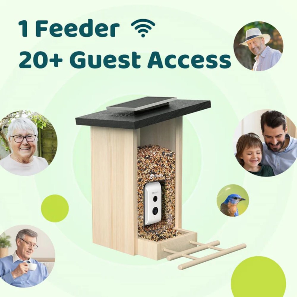 Feeder Ebony mit Möglichkeit von Gastaccounts
