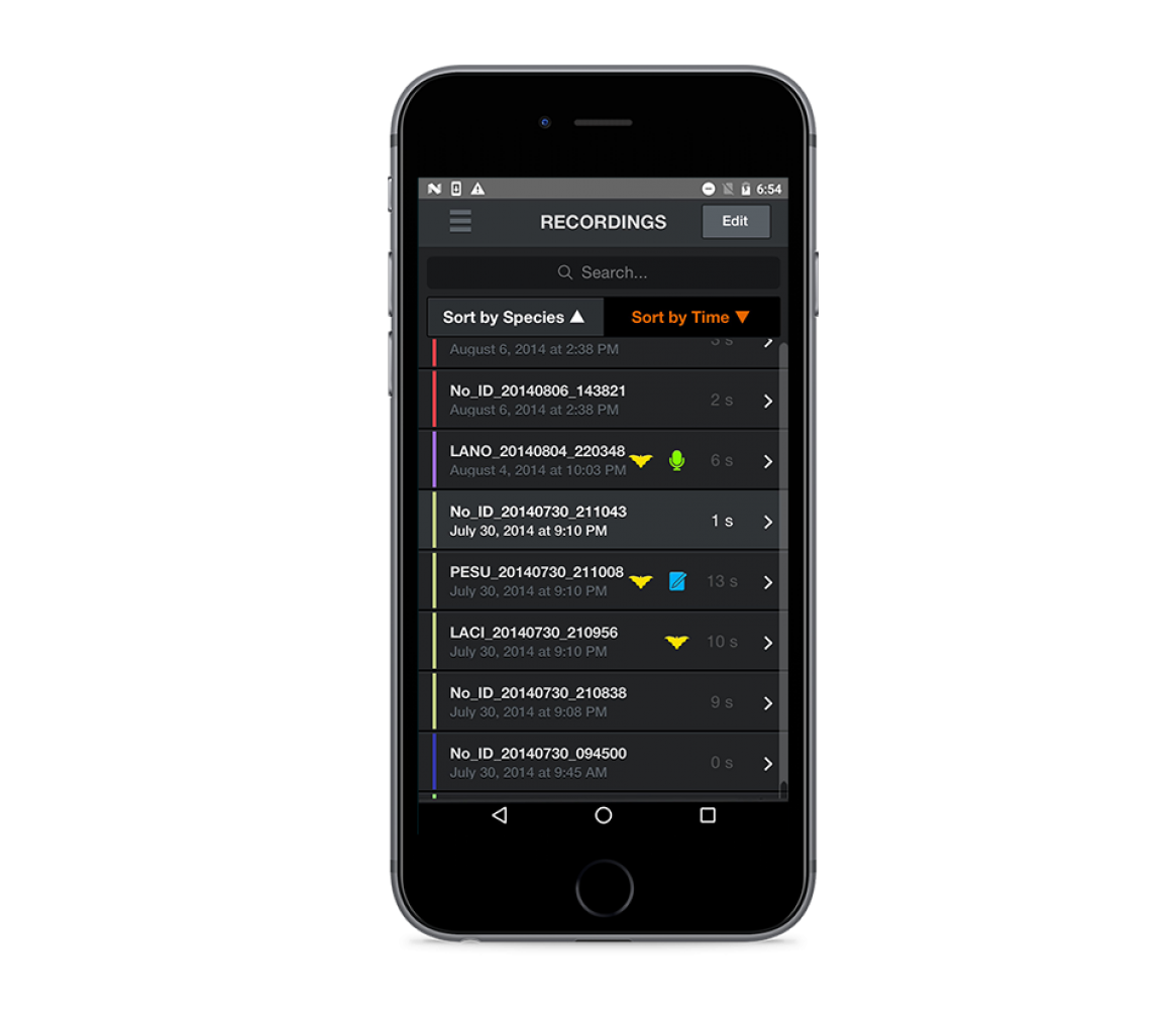 Fledermausdetektor Echo Meter Touch 2 PRO - Recording-Anzeige