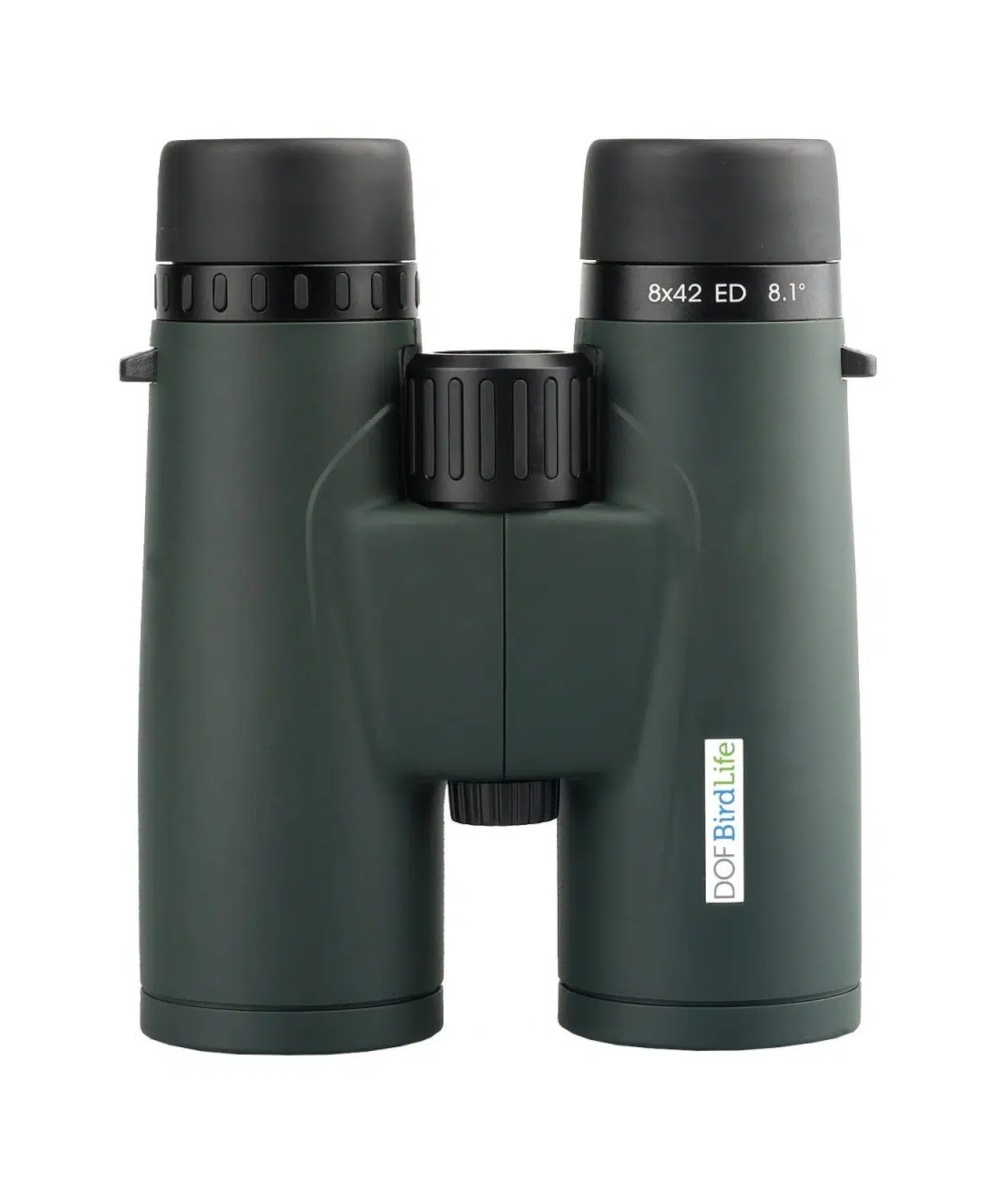 Birdlife Condor 8x42 - stehend