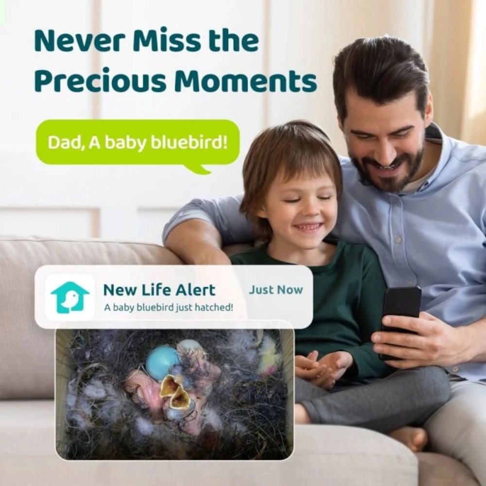 Birdfy House Ebony, Bewegungsbenachrichtigung im Nest per Birdfy-App