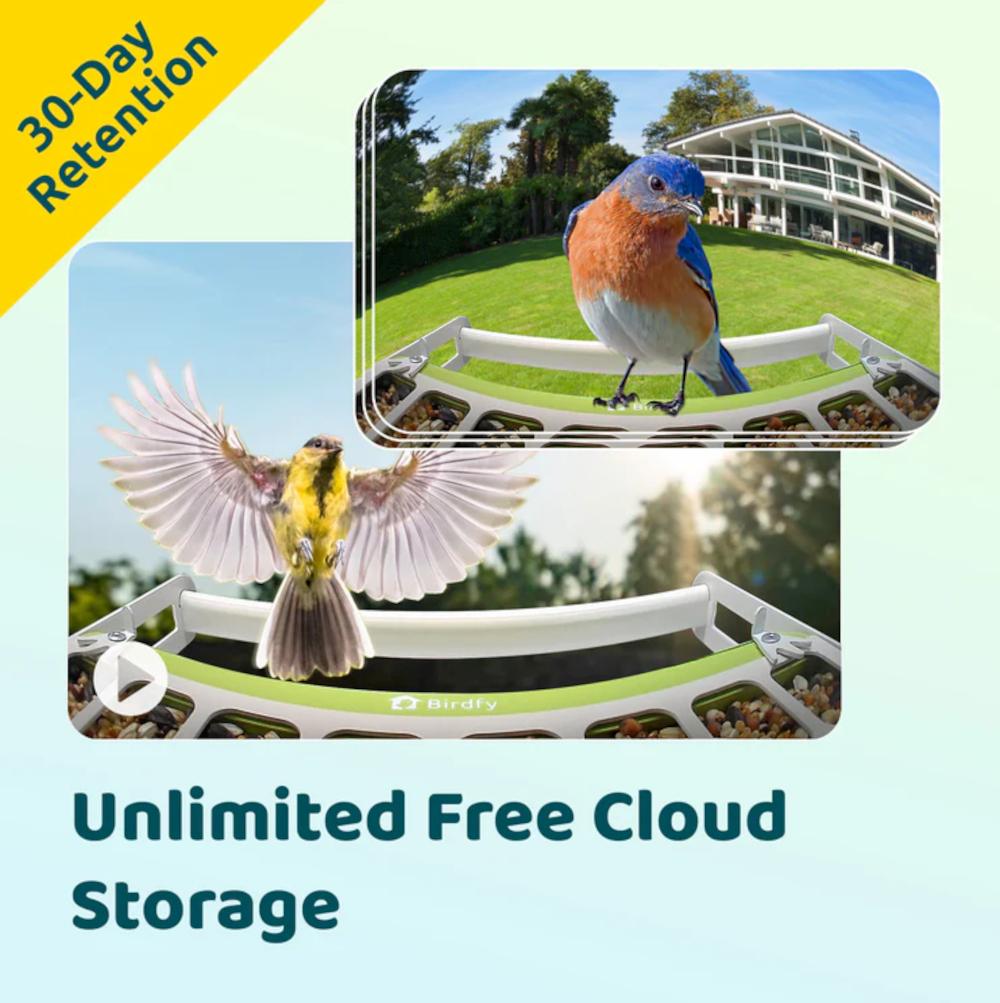 Birdfy-App mit 30 Tage Aufbewahrung im unlimitierten, kostenlosen Cloud-Speicher