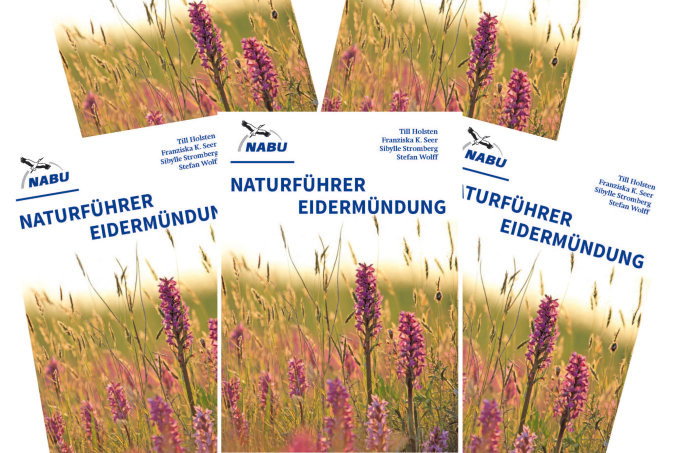 Naturführer Eidermündung