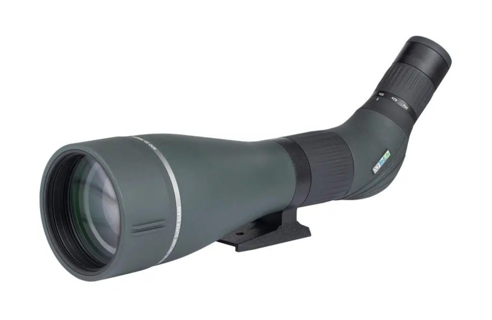 DOF BirdLife - Golden eagle 35-70x100