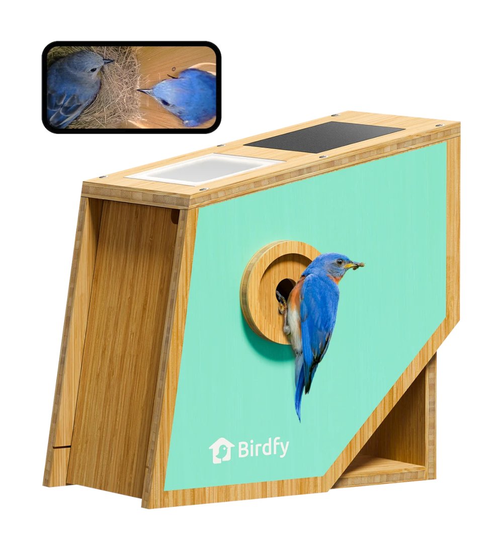 BirdFy - Nestbox Nest Polygon mit eingebauter Kamera mit unbegrenzter Bestimmungs-KI