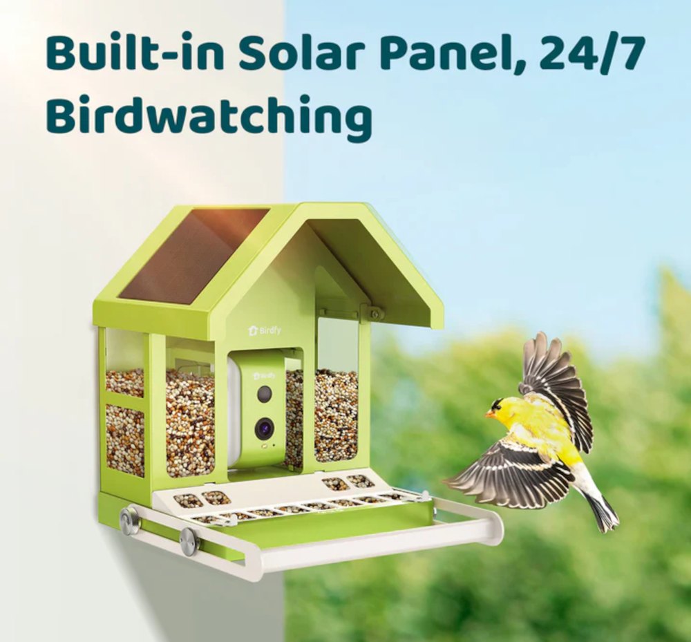 Birdfy Futterhaus mit eingebautem Solarpanel
