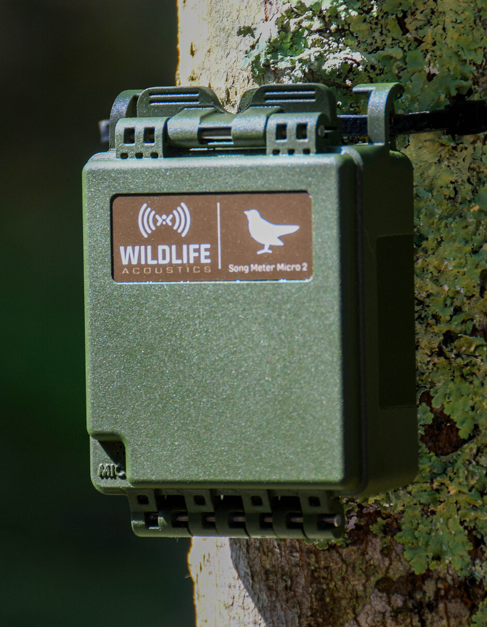 Wildlife Acoustics Song Meter Micro 2, in Anwendung, trocken