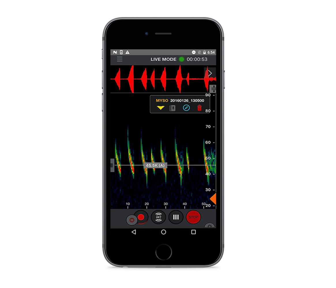 Echo Meter Touch 2 Fledermausdetektor für Android, Life-Darstellung