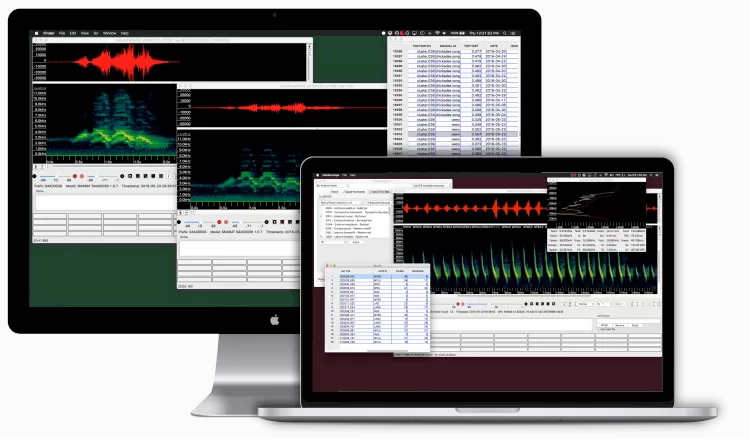Kaleidoscope Pro Analysesoftware