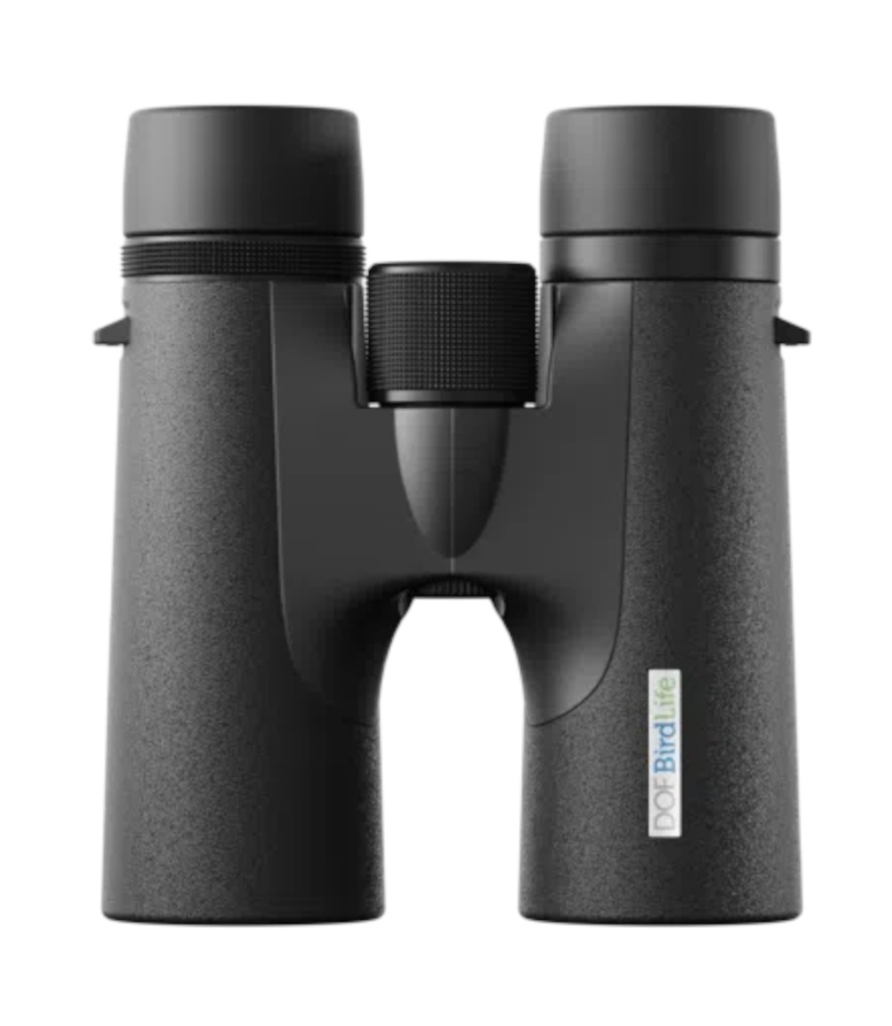 DOF BirdLife - Barn owl 8x42