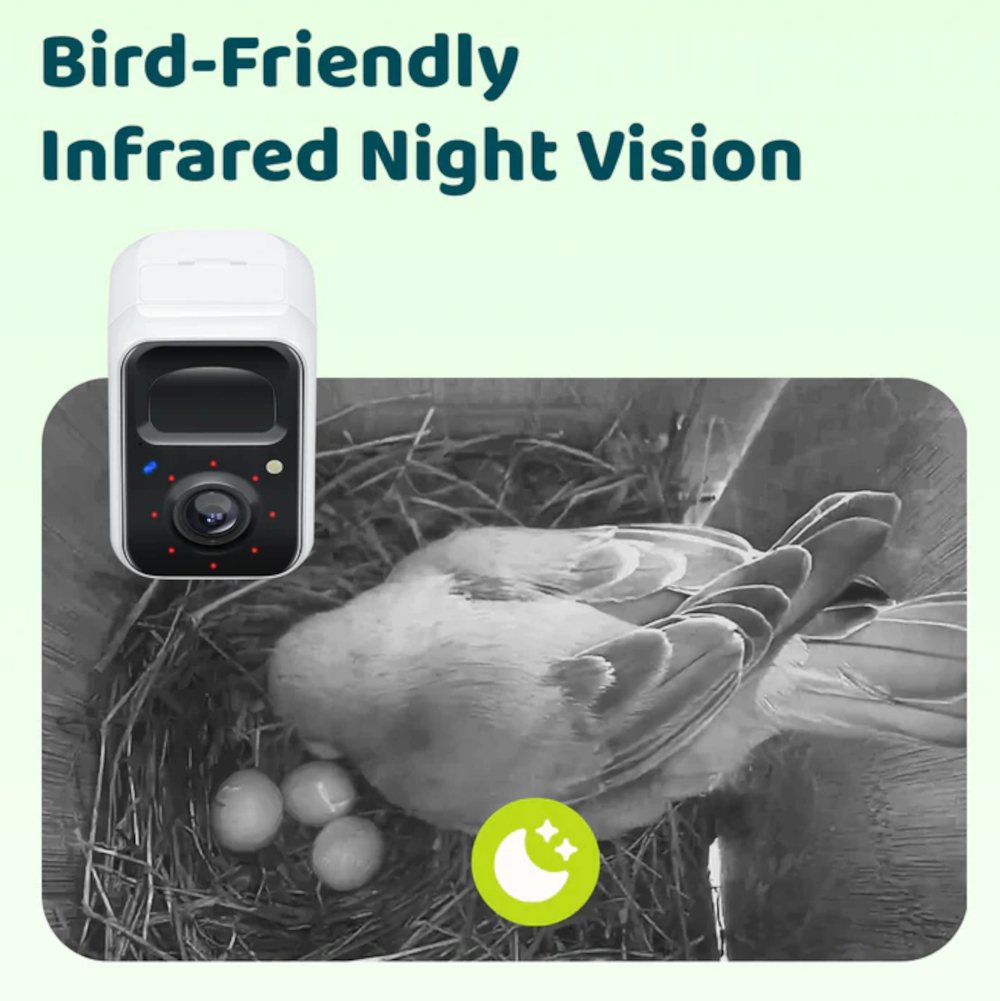 Nestbox Polygon mit Vogelfreundlichem Infrarot Nachtsicht Kamera