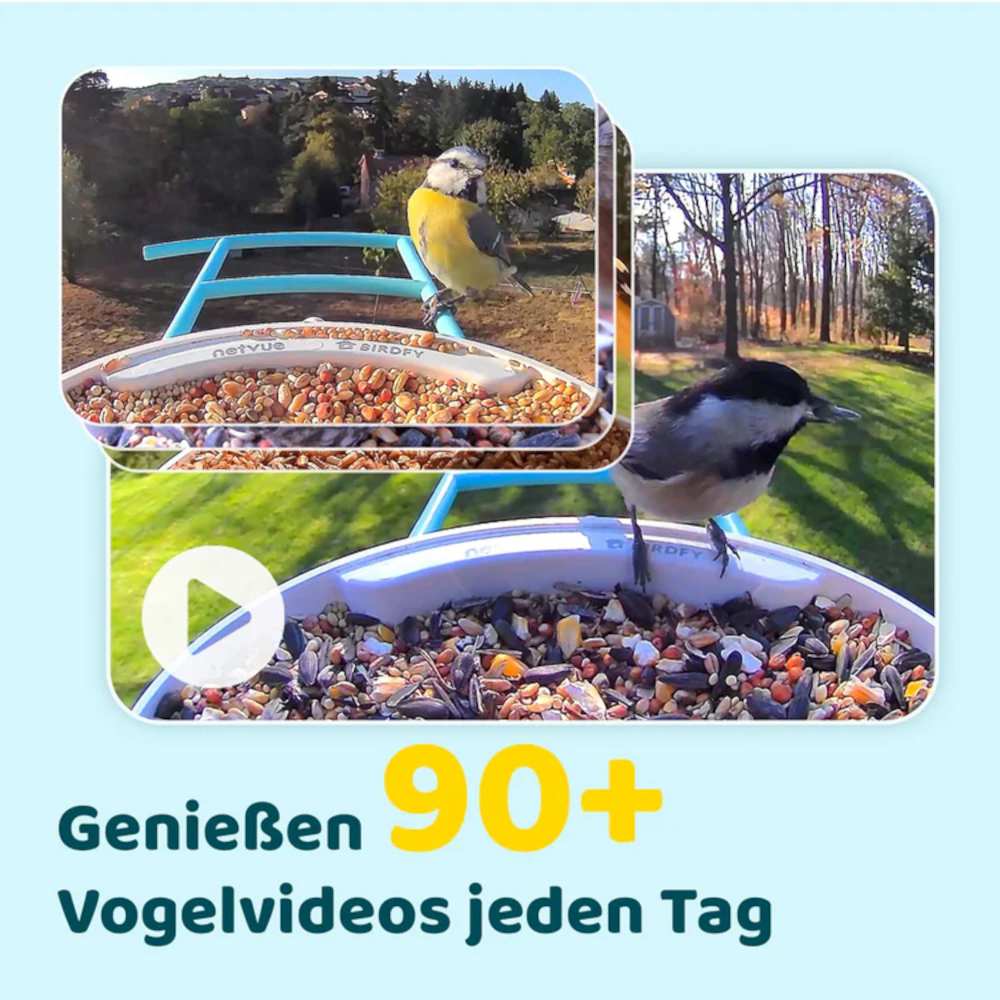 Birdfy Feeder Videoclips der integrierten Kamera