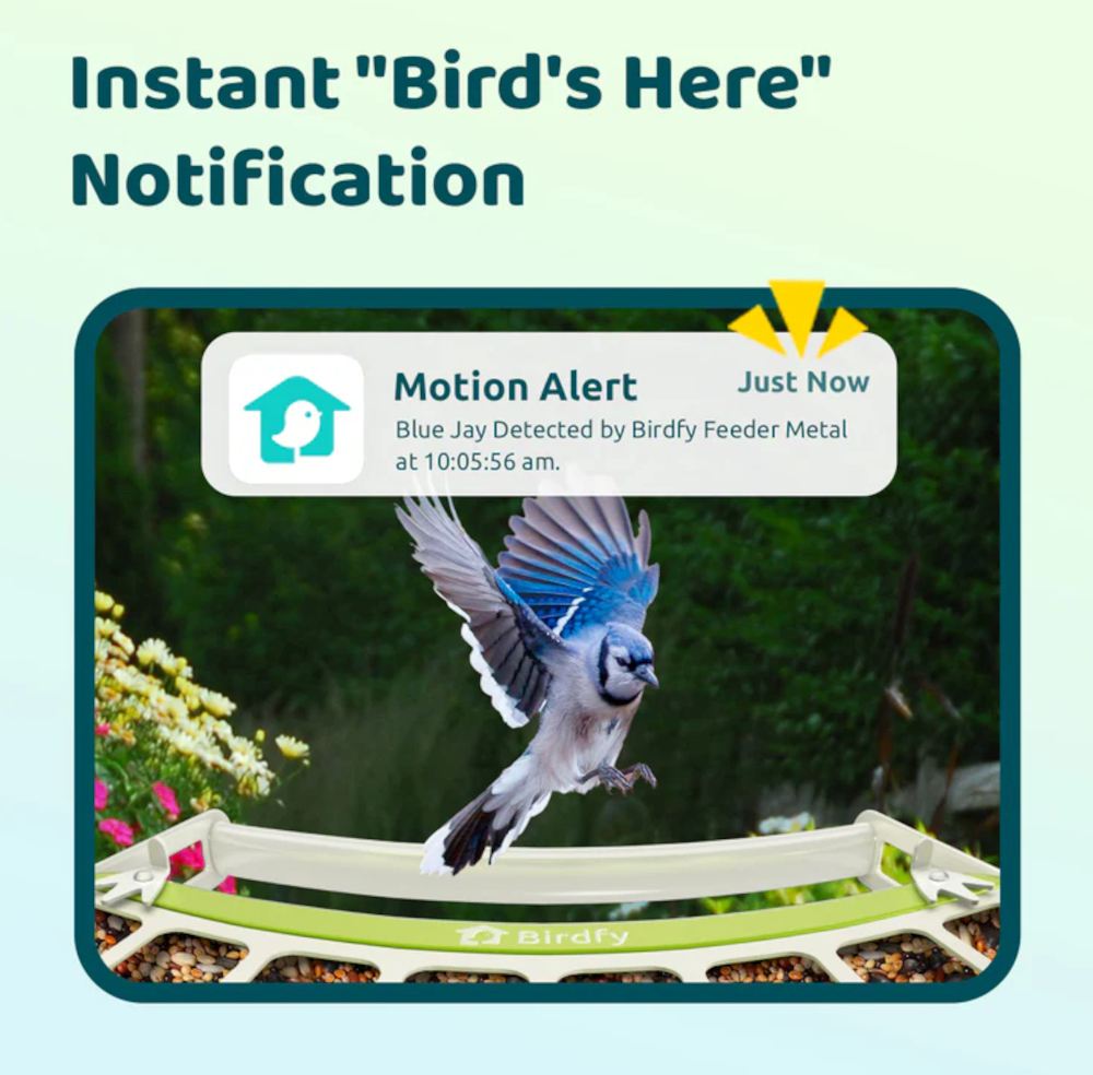 Sofortige Benachrichtigung über Bewegungen am Feeder