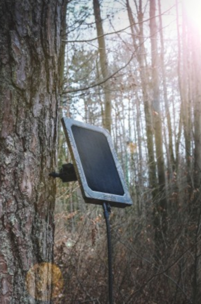 Seissiger Solarpanel, in Betrieb, am Baum angebracht