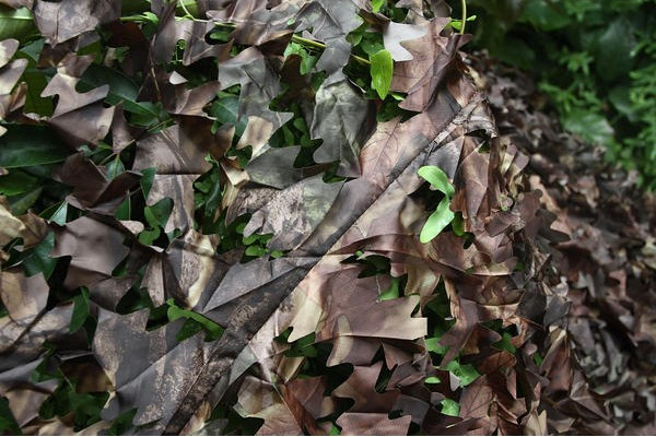Tragopan, Tarnnetz Schnee, Unterseite Camouflage