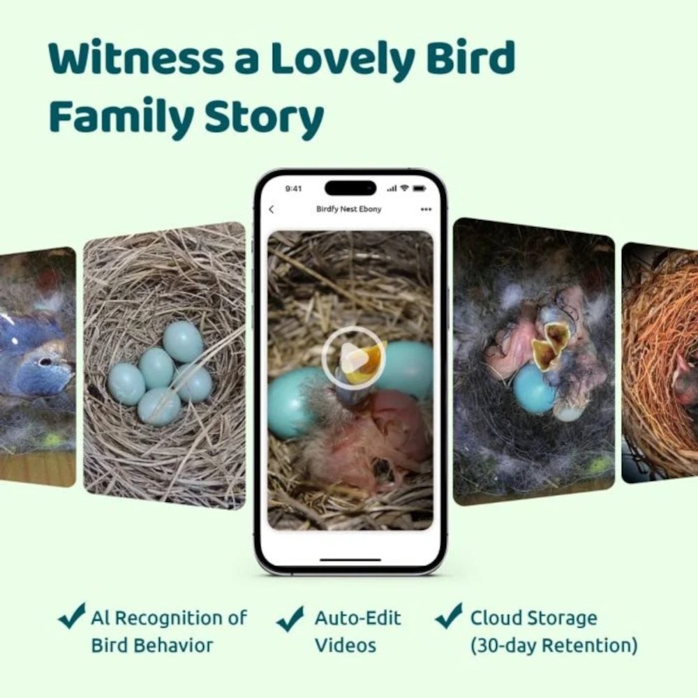 Erlebe die Familiengeschichte im Birdfy Nestbox House Ebony life