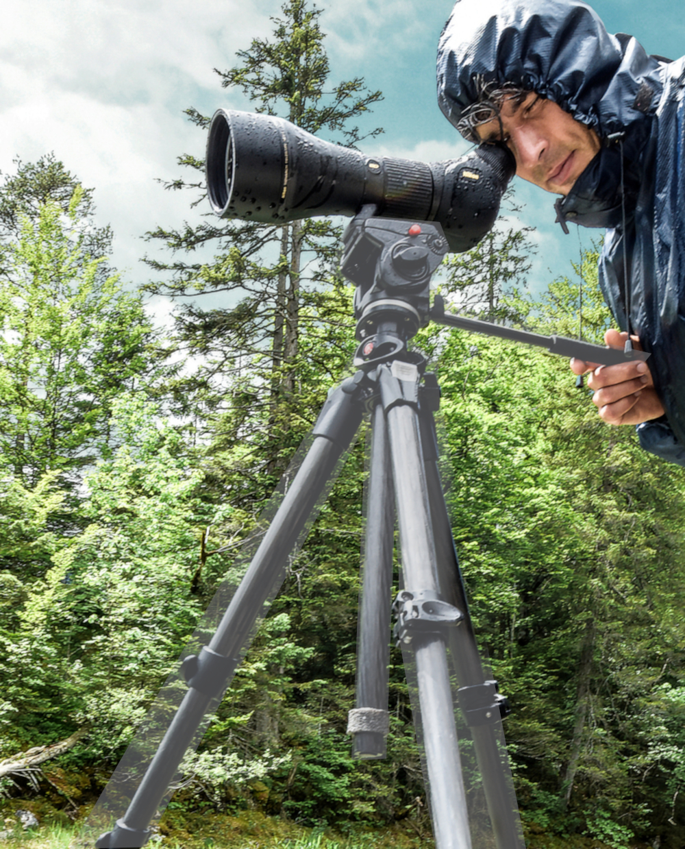 NIKON Monarch 60ED-A, Winkeleinblick Spektiv, in Anwendung