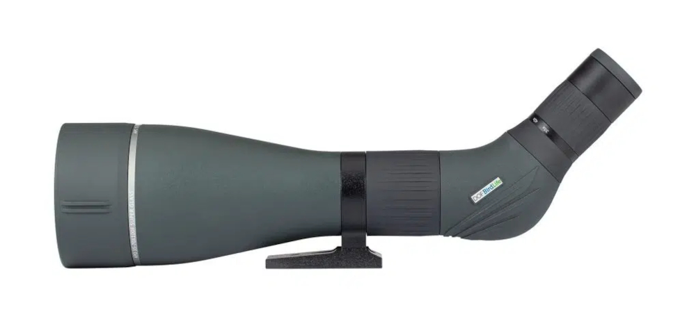 Birdlife Golden Eagle  35-70x100 - seitlich