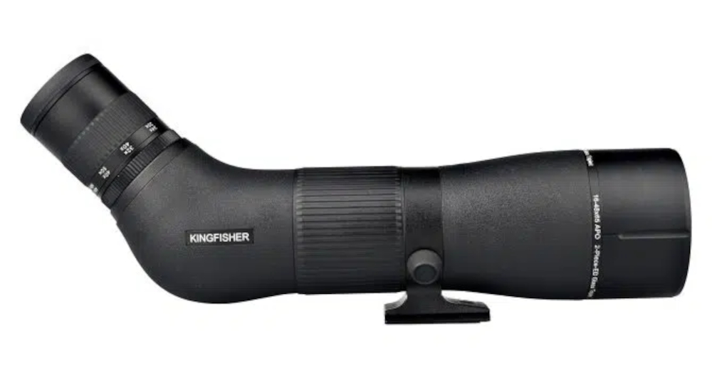 Birdlife Kingfisher 16-48x65 - seitlich