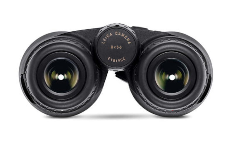 Leica Camera Geovid R Entfernungsmesser, 8x56 mm, Okularseits