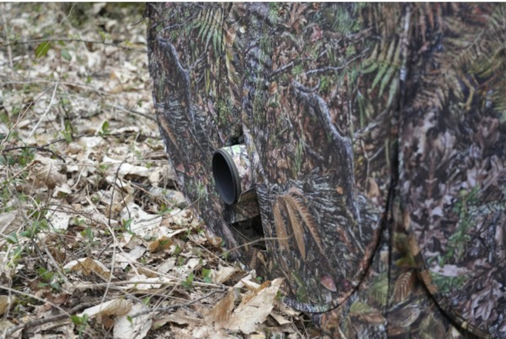 Tragopan, Ausguckmöglichkeit beim Tarnzelt Grouse V+