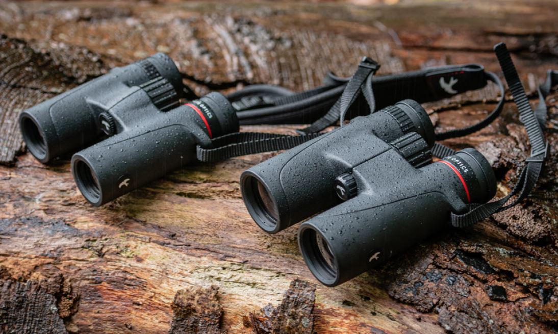 Kite Falco 8x32 und Kite Falco 8x42