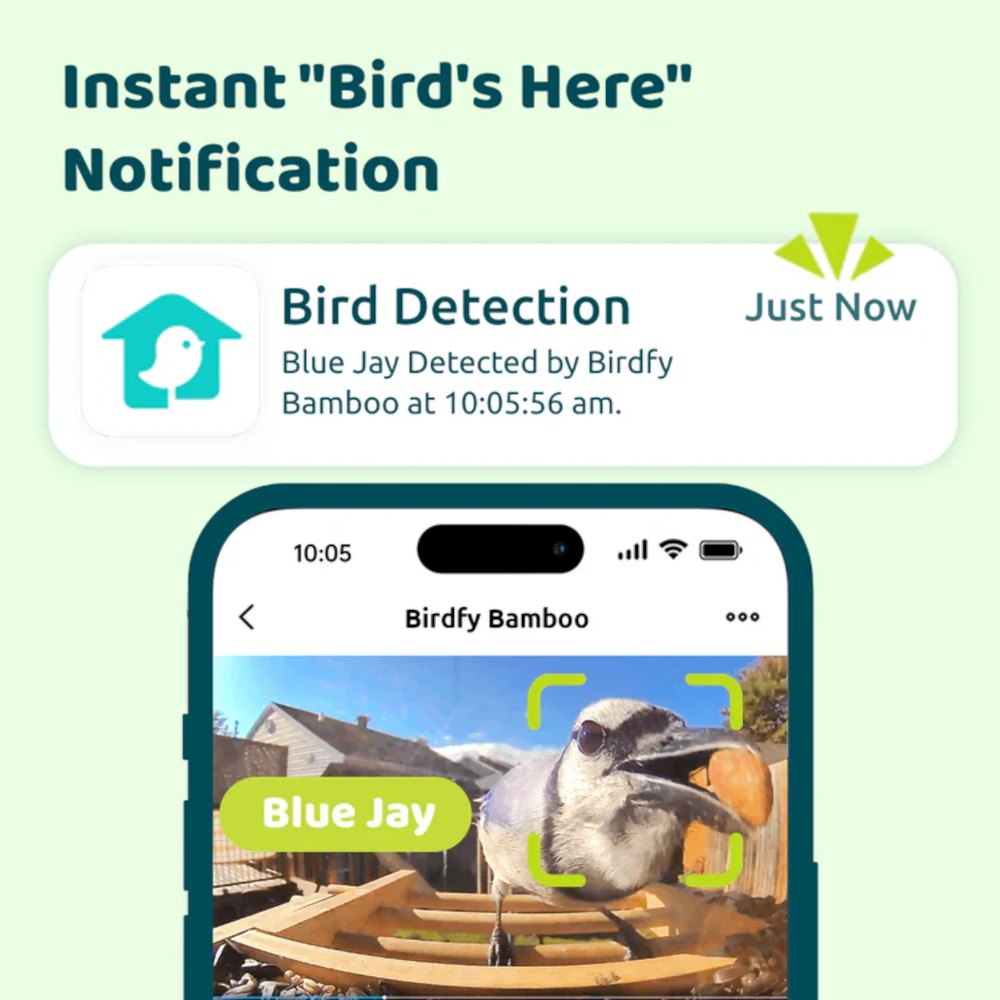 Birdfy Benachrichtigung per Clip auf Smartphone