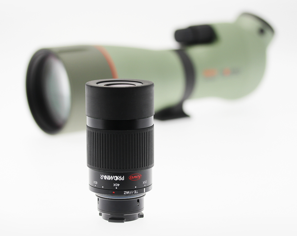 KOWA_Okular_TE-11_WZ_plus_Spektiv_Schraegeinblick_Hintergrund Kowa Optimed Okular TE-11WZ II 25-60x, TE-11WZ II 30-70x (bei 99mm Objektivdurchmesser) Weitwinkelzoom