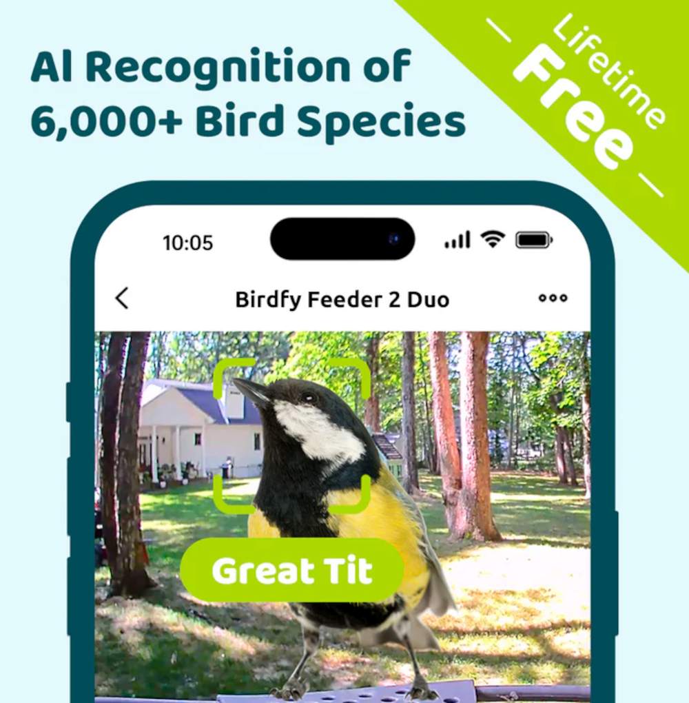 Feeder 2 von Birdfy mit KI Artenerkennungsapp