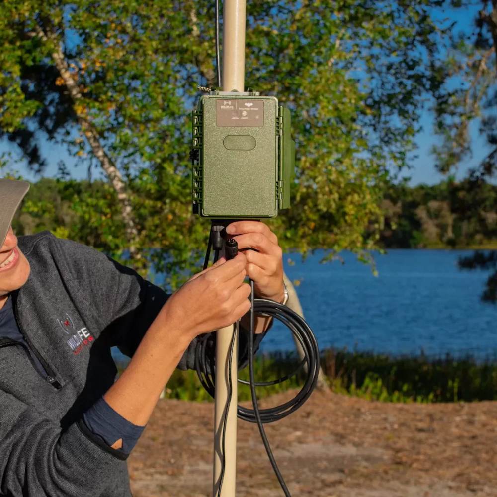 Wildlife Acoustics Song Meter SM5BAT Ultraschall Recorder für Fledermäuse - Outdoor