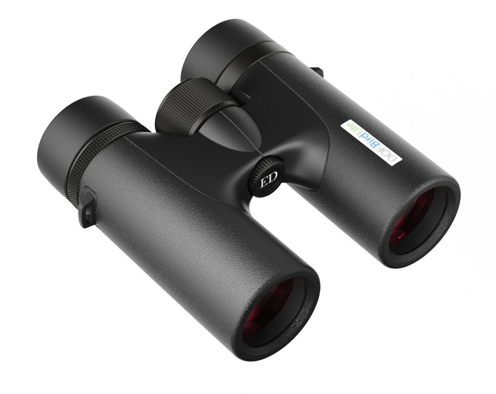 Birdlife Waxwing 10x32 - liegend