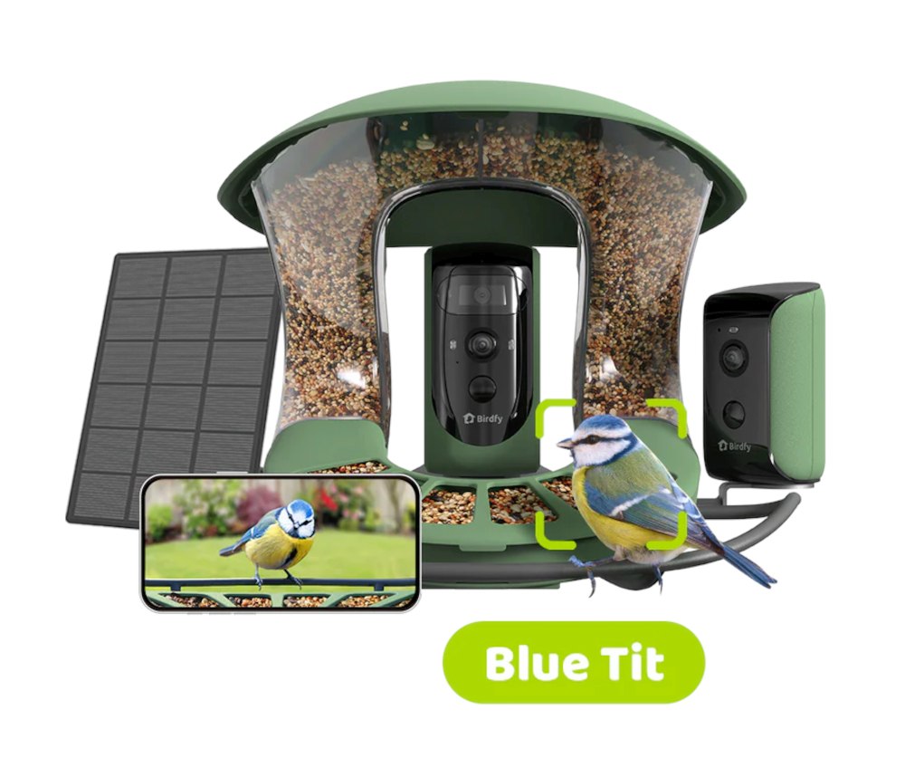 Birdfy Feeder 2 Duo-Kamera Artenbestimmung Blaumeise & Clip