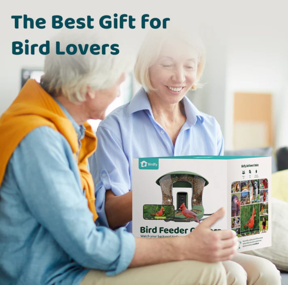 Feeder 2 von Birdfy als Geschenktipp für Vogelliebhaber