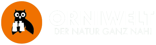 Zur Startseite gehen