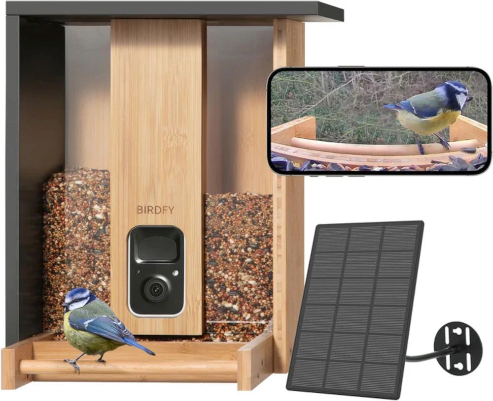 BirdFy - Bamboo, Futterhaus mit Kamera, 3,5 l Bestimmungs KI: 7-Tage-Testversion