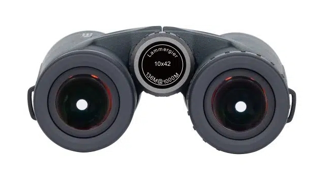 Birdlife Lammergeier 10x42 - liegend