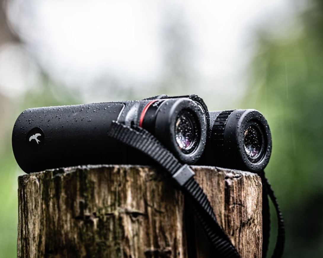 KITE_FALCO_Natur_30_Jahre_Garantie Kite Falco 10x42 und Kite Falco 8x42 30 Jahre Garantie