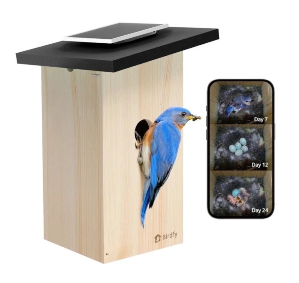 BirdFy - Nestbox House Ebony Lite mit eingebauter Kamera Bestimmungs KI: 7-Tage-Testabo