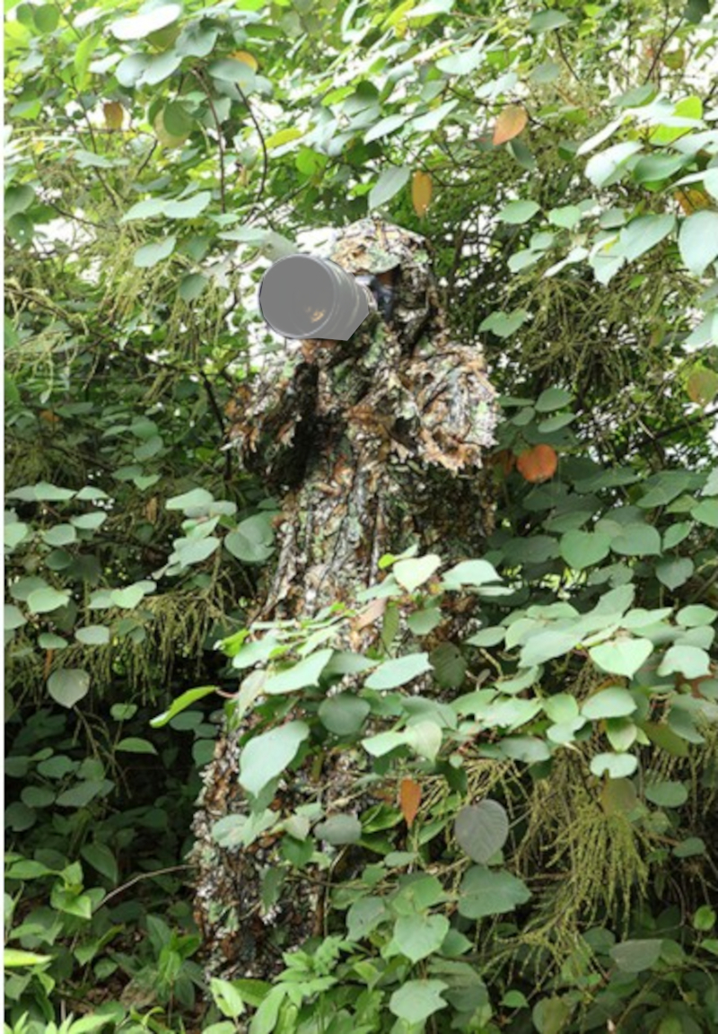 camouflage-3d-tarnanzug-1Q1RHuRYCdQpzw Tragopan Tarnanzug in 3D-Optik