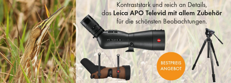 Leica APO Televid 82 W im Angebot