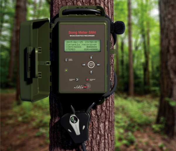 Wildlife Acoustics, Song Meter SM 4, in Anwendung offen im Wald